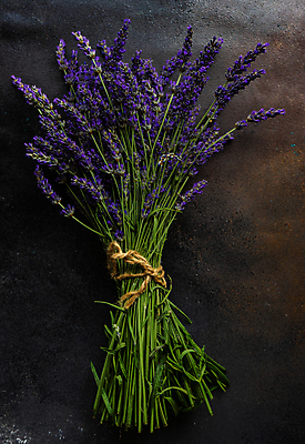 포토 JPG 해외이미지 꽃 꽃다발 실내 사람없음 다발 라벤더 해외포토 식물 내부 허브 파일형식 이미지허브