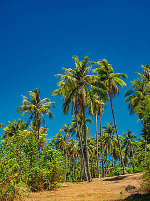 포토 JPG 해외이미지 아시아 모래 파도 바다 섬 여행 태국 자연 하늘 휴가 휴식 풍경 사람없음 야외 물 여름 파란색 태양 일출 일몰 만 보트 안다만 이국적 파라다이스 푸켓 해외포토 자연요소 계절 나라 컬러 컨셉 배_교통 노을 생태계 파일형식 이미지허브