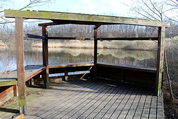 포토 JPG 해외이미지 나무 공원 호수 자연 지붕 사람없음 야외 목재 물 연못 전망대 수목 해외포토 자연요소 식물 공공시설 재료 생태계 파일형식 이미지허브