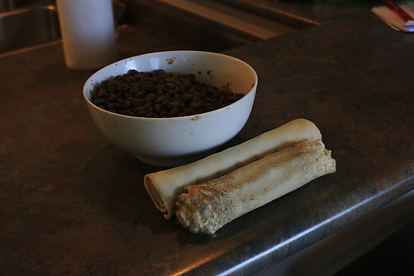 포토 JPG 해외이미지 동물 접시 길 음식 백그라운드 2 다이어트 장난 놀이 뼈 건조 건강 사람없음 빨간색 반려동물 반사 갈색 식사 저녁식사 기쁨 기차 흰색 하트 대접 최고 사발 개 강아지 치아 은색 큼 먹이 청소 쏟아짐 송곳니 고립 돌봄 해외포토 모양 식기 감정 육상교통 컬러 포유류 모션 대중교통 소화기관 사기그릇 크기 파일형식 이미지허브