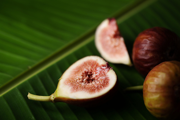 포토 JPG 해외이미지 음식 조각 백그라운드 농업 다이어트 과일 재료 자연 디저트 건강 씨앗 사람없음 목재 빨간색 초록색 보라색 가을 흰색 시골 신선 그룹 닫기 달콤 맛 자르기 먹기 제비꽃 묘사 유기농 날것 슬라이스 무화과 내추럴 고립 숙성 이국적 해외포토 나무 식물 웰빙 계절 꽃 산업 컬러 컨셉 모션 생태계 파일형식 이미지허브