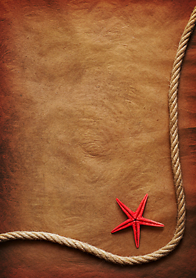 포토 JPG 해외이미지 종이 밧줄 백그라운드 불가사리 사람없음 갈색 질감 카피스페이스 해외포토 줄 컬러 극피동물 공백 파일형식 이미지허브