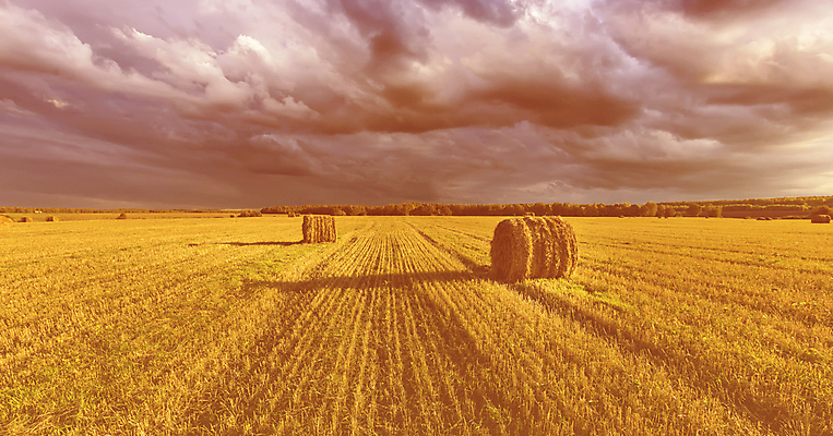 포토 JPG 해외이미지 식물 구름 음식 밭 농업 자연 하늘 건조 풍경 사람없음 야외 여름 파란색 농작물 햇빛 농장 노란색 쌓기 일몰 수확 가을 시골 원형 황금 건초더미 볏짚 저녁 낟알 9월 땅 밀 러시아 롤 뭉치 밀짚 내추럴 밭일 호밀 수평선 해외포토 자연요소 도형 계절 유럽 산업 컬러 모션 곡류 태양 노을 날짜 건초 짚 야간 생태계 파일형식 더미 이미지허브