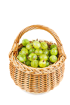 포토 JPG 해외이미지 열매 음식 백그라운드 과일 재료 자연 건강 사람없음 초록색 바구니 수확 흰색 신선 달콤 작음 버드나무 유기농 날것 블랙베리 내추럴 고립 구스베리 숙성 채식주의자 비건 해외포토 나무 식물 웰빙 컬러 농업 맛 크기 생태계 채식 파일형식 이미지허브