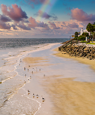 포토 JPG 해외이미지 야생동물 벽 바다 자연 갈매기 안전 사람없음 물 항구 블록 서핑 보호 바리케이드 방파제 고체 해외포토 자연요소 동물 공공시설 컨셉 교통시설 조류 수상스포츠 생태계 파일형식 이미지허브