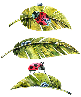 포토 JPG 해외이미지 곤충 잎 자연 붓터치 수채화 사람없음 빨간색 초록색 물방울 딱정벌레 무당벌레 번짐 해외포토 식물 동물 컬러 생태계 파일형식 효과 이미지허브