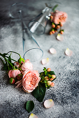 포토 JPG 해외이미지 꽃잎 잎 회색배경 사람없음 아웃포커스 장미 꽃병 해외포토 식물 꽃 백그라운드 촬영기법 회색 파일형식 이미지허브