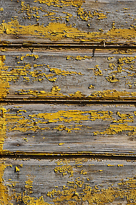 포토 JPG 해외이미지 벽 백그라운드 패턴 벽지 표면 날씨 주택 사람없음 목재 노란색 페인트 손상 수확 골동품 껍질 시골 판넬 떨어짐 널 버리기 묘사 질감 찢어짐 수목 옛날 노화 해외포토 나무 컬러 컨셉 무늬 농업 재료 모션 건물 파일형식 이미지허브
