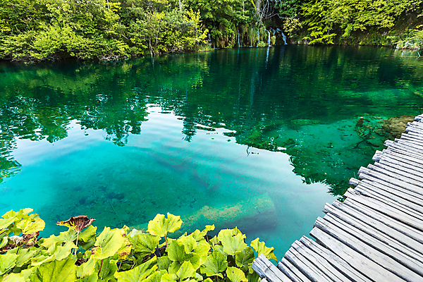 포토 JPG 해외이미지 나무 식물 공원 유럽 호수 여행 백그라운드 자연 산 풍경 사람없음 야외 초록색 물 여름 파란색 강 여행객 봄 폭포 가을 연못 개울 숲 크로아티아 내추럴 생태학 전국 해외포토 자연요소 계절 공공시설 교육 나라 컬러 사람 생태계 파일형식 이미지허브