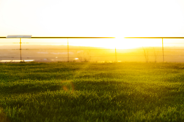 포토 JPG 해외이미지 식물 백그라운드 자연 추상 잔디 사람없음 야외 가로 빨간색 초록색 여름 빛 컬러풀 햇빛 노란색 황혼 일몰 가을 농촌 마법 광 해외포토 계절 컬러 무늬 태양 노을 시골 생태계 파일형식 이미지허브