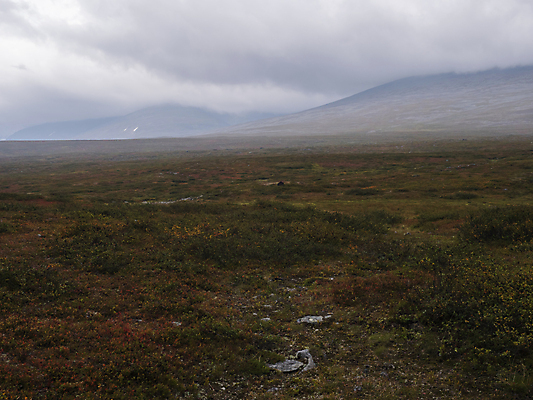 포토 JPG 해외이미지 나무 구름 공원 유럽 여행 백그라운드 자국 자연 휴가 산 스웨덴 풍경 사람없음 야외 초록색 여름 파란색 컬러풀 하이킹 안개 가을 바위 역사 북극 언덕 자작나무 산악지대 스칸디나비아 전국 해외포토 자연요소 식물 계절 공공시설 나라 컬러 레저 날씨 북유럽 돌_바위 극지방 생태계 파일형식 이미지허브