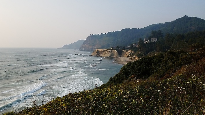 포토 JPG 해외이미지 식물 모래 파도 바다 자연 사람없음 야외 물 환경 해외포토 자연요소 생태계 파일형식 이미지허브