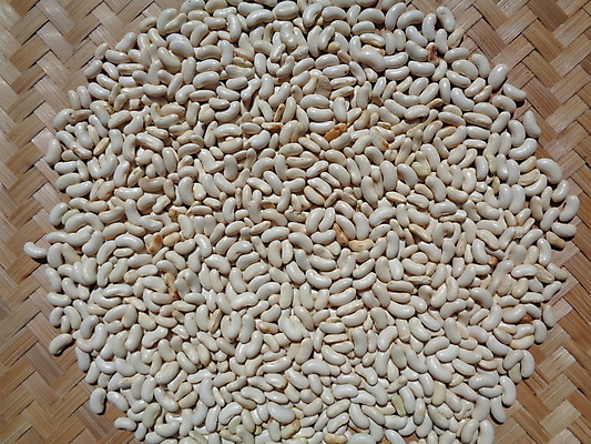 포토 JPG 해외이미지 식물 음식 백그라운드 농업 다이어트 채소 자연 탁자 건강 요리 씨앗 사람없음 초록색 농장 갈색 정원 수확 성장 흰색 신선 자르기 다발 유기농 질감 아스파라거스 날것 포도나무 내추럴 숙성 채식주의자 해외포토 웰빙 산업 컬러 가구 모션 과일나무 생태계 채식 파일형식 이미지허브