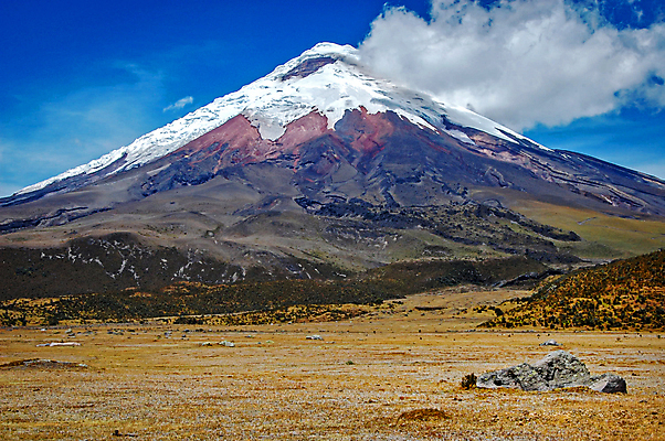 포토 JPG 해외이미지 나무 구름 공원 여행 자연 하늘 산 건조 풍경 사람없음 파란색 햇빛 갈색 환경 계곡 맑음 추위 바위 남아메리카 숲 고도 언덕 화산 먼지 지역 암초 에콰도르 웅장함 절정 지리 해외포토 자연요소 식물 공공시설 컬러 날씨 아메리카 태양 돌_바위 생태계 파일형식 이미지허브