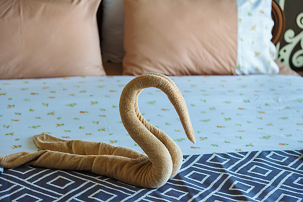 포토 JPG 해외이미지 모양 디자인 여행 결혼 백그라운드 컨셉 베개 침구 호텔 휴가 휴식 아파트 주택 실내 따뜻함 사랑 사람없음 내부 장식 수건 쌓기 기쁨 침실 방 흰색 하트 침대 잠 고급 우아함 담요 심볼 서비스 휴양지 백조 부드러움 환영 솜털 해외포토 감정 컬러 가구 모션 조류 숙소 이벤트 건물 위생용품 장소 감각 파일형식 이미지허브