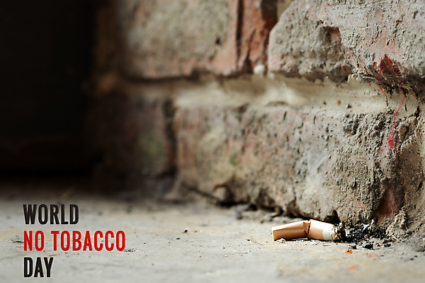 포토 JPG 해외이미지 타이포그라피 사람없음 공익캠페인 돌벽 금연 담배꽁초 금연데이 해외포토 문자 기념일 벽 캠페인 담배 사회이슈 파일형식 이미지허브