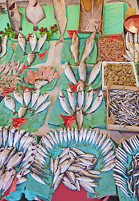 포토 JPG 해외이미지 산업 바다 낚시 새우 이스탄불 저울 종류 어류 사람없음 쇼핑 식당 죽음 신선 잡기 시장 배열 연어 어장 칠면조 튀르키예 해외포토 아시아 모션 조류 레저 갑각류 상점 수중동물 파일형식 이미지허브