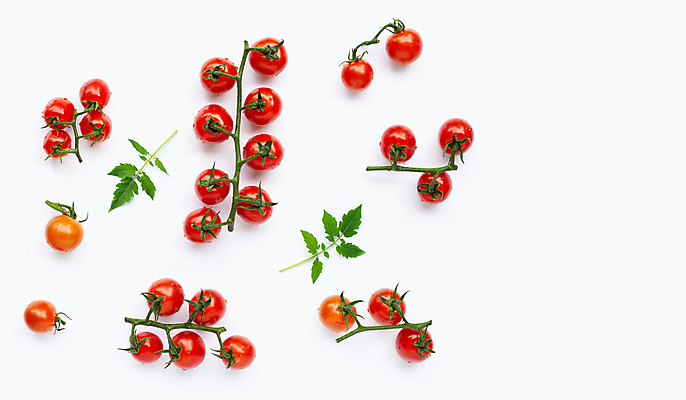 포토 JPG 해외이미지 토마토 방울토마토 실내 사람없음 흰배경 해외포토 백그라운드 채소 내부 흰색 파일형식 이미지허브