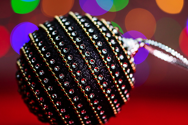 포토 JPG 해외이미지 나무 전통 디자인 계절 별 백그라운드 크리스마스 겨울 공 추상 휴가 새로움 선물 사람없음 장식 빨간색 초록색 빛 검은색 축제 화환 장식볼 흰색 나뭇가지 축하 인사 신용카드 연도 활 질감 추수감사절 전나무 노엘 크리스마스배경 해외포토 자연요소 식물 기념일 꽃 기독교 컬러 컨셉 무늬 금융 예절 파일형식 이미지허브