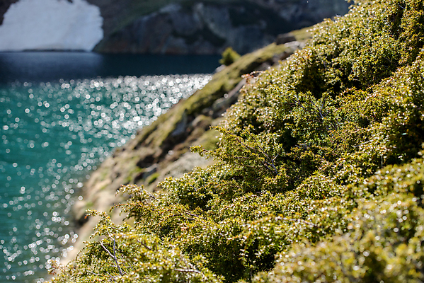 포토 JPG 해외이미지 계절 호수 여행 백그라운드 자연 하늘 산 풍경 사람없음 야외 초록색 물 여름 파란색 햇빛 반사 평화 환경 계곡 일몰 하이킹 프랑스 연못 액체 저녁 숲 그늘 부식 유기농 빙하 내추럴 생태학 안도라 해외포토 자연요소 웰빙 교육 유럽 컬러 컨셉 레저 태양 노을 야간 생태계 파일형식 이미지허브