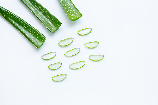 포토 JPG 해외이미지 스튜디오촬영 단면 실내 사람없음 흰배경 알로에 해외포토 식물 백그라운드 내부 흰색 파일형식 이미지허브