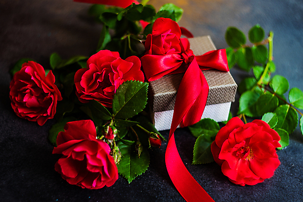 포토 JPG 해외이미지 리본 잎 회색배경 사람없음 선물상자 장미 해외포토 식물 꽃 백그라운드 선물 상자 회색 파일형식 이미지허브