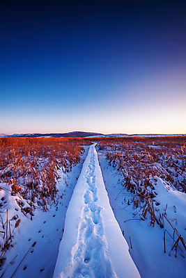 포토 JPG 해외이미지 나무 구름 계절 공원 호수 여행 백그라운드 겨울 밭 자연 하늘 아침 날씨 휴가 산 풍경 사람없음 야외 목재 물 파란색 빛 햇빛 태양 일출 환경 냉동 얼음 일몰 추위 흰색 정상 숲 연도 서리 내추럴 불가리아 해외포토 주간 자연요소 식물 공공시설 컬러 농업 재료 노을 생태계 파일형식 남유럽 이미지허브