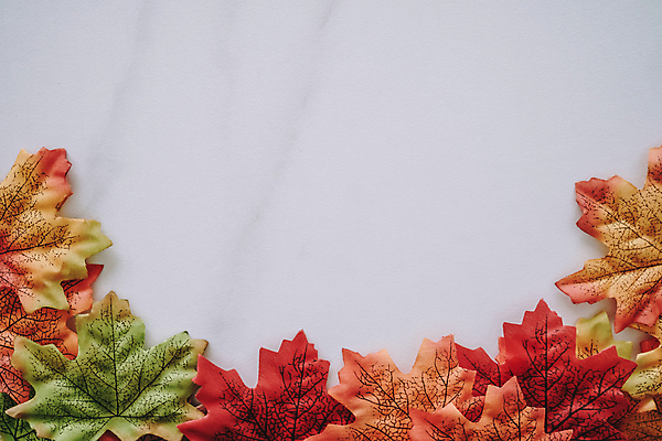 포토 JPG 해외이미지 나무 식물 계절 백그라운드 컨셉 단풍 잎 패턴 오렌지 자연 탁자 휴가 프레임 사람없음 장식 빨간색 초록색 우주 수확 가을 흰색 시골 플랫 정상 책상 흰배경 질감 레이아웃 머리위 위치 추수감사절 10월 내추럴 구성 땅바닥 목업 미니멀 해외포토 기독교 컬러 가구 무늬 농업 과일 바닥 날짜 생태계 파일형식 이미지허브