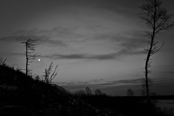 포토 JPG 해외이미지 나무 구름 공원 밭 자연 하늘 바람 휴가 영국 잉글랜드 이끼 사람 사람없음 여름 파란색 빛 컬러풀 태양 농장 걷기 믿음 황혼 일몰 하이킹 달 시골 야간 저녁 숲 요크셔테리어 달빛 영웅 삼림지대 석회암 옛날 전국 혼자 흥미 해외포토 자연요소 식물 계절 공공시설 감정 유럽 컬러 컨셉 농업 모션 레저 날씨 노을 암석 테리어 생태계 파일형식 이미지허브