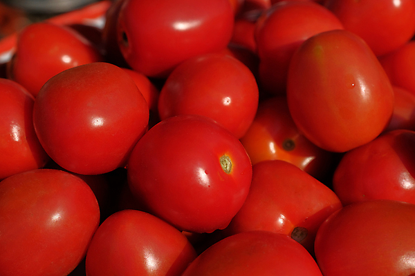 포토 JPG 해외이미지 식물 음식 백그라운드 농업 다이어트 토마토 채소 과일 재료 자연 건강 요리 사람없음 빨간색 초록색 물 빛 샐러드 흰색 신선 원형 체리 그룹 닫기 달콤 맛 작음 허브 오브젝트 유기농 날것 포도나무 광택 흙더미 내추럴 숙성 채식주의자 많음 비건 해외포토 자연요소 도형 웰빙 산업 컬러 컨셉 모션 흙 크기 과일나무 생태계 채식 파일형식 더미 이미지허브