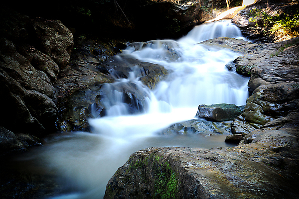 포토 JPG 해외이미지 계절 여행 백그라운드 잎 모션 자연 이끼 풍경 사람없음 야외 초록색 물 여름 햇빛 평화 환경 봄 폭포 젖음 흐름 자유 가을 바위 흰색 신선 액체 개울 난초 떨어짐 숲 내추럴 파라다이스 해외포토 자연요소 식물 컬러 컨셉 빛 강 생태계 파일형식 이미지허브