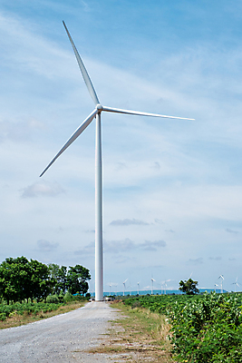 포토 JPG 해외이미지 식물 실루엣 산업 아시아 태국 바람 동양인 사람없음 초록색 글로벌 농장 환경 탑 금속 힘 일몰 재활용 풍차 발전기 에너지 행운 칼날 역 보호 생태계 프로펠러 자원 세대 유지 방앗간 혁명 개발 생태학 효율 공급 해외포토 자연요소 건축물 교육 나라 컬러 컨셉 농업 교통시설 재질 날씨 촬영기법 인종 노을 발전소 친환경 파일형식 이미지허브