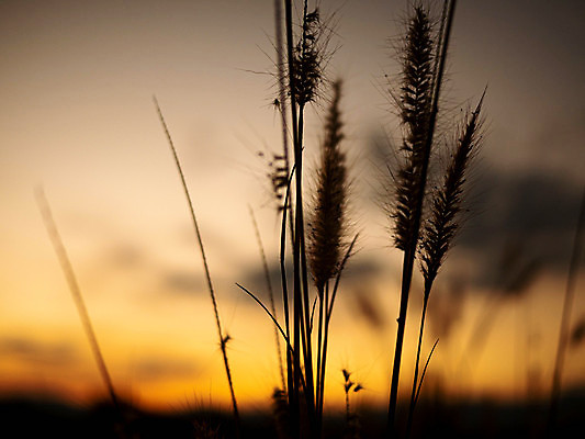 포토 JPG 해외이미지 주간 구름 하늘 풍경 사람없음 야외 태양 일출 해외포토 자연요소 노을 파일형식 이미지허브