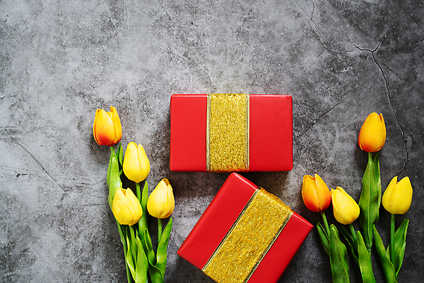 포토 JPG 해외이미지 전통 계절 꽃 행복 별 리본 백그라운드 컨셉 크리스마스 겨울 휴가 새해 기념 선물 이벤트 사람없음 장식 빨간색 선물상자 쇼핑 상자 갈색 세일 상점 놀람 권투 수확 시골 축하 인사 12월 활 복고 시멘트 환영 마법 온라인 그만 마지막 특별함 제의 해외포토 자연요소 식물 기념일 감정 컬러 농업 표정 격투기 예절 날짜 파일형식 이미지허브