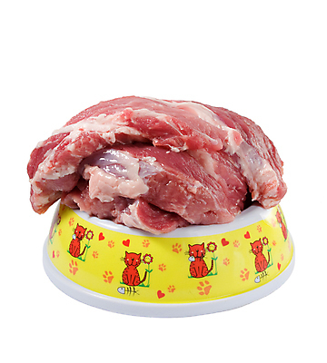 포토 JPG 해외이미지 접시 음식 백그라운드 육류 사람없음 반려동물 식사 고양이 흰색 사발 덩어리 제비 고립 많음 해외포토 동물 식기 컬러 컨셉 식재료 포유류 조류 사기그릇 파일형식 이미지허브