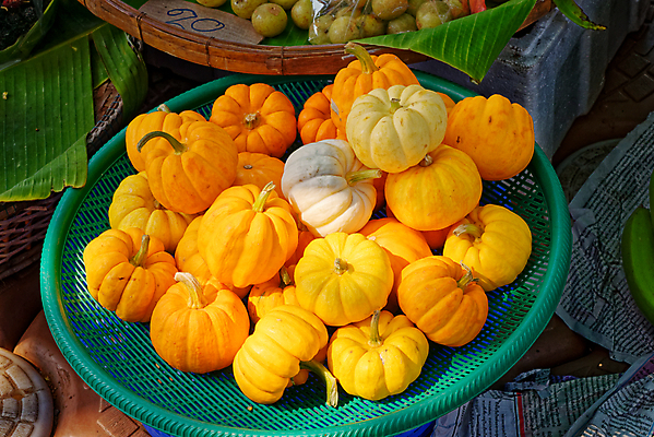 포토 JPG 해외이미지 전통 계절 백그라운드 농업 채소 오렌지 과일 자연 호박 휴가 거리 건강 요리 사람없음 장식 컬러풀 미니어처 할로윈 수확 가을 시골 축하 신선 시장 작음 유기농 추수감사절 스쿼시 10월 내추럴 점심식사 핸드메이드 많음 해외포토 웰빙 산업 기독교 스포츠 컬러 컨셉 구기 모형 식사 날짜 크기 생태계 파일형식 이미지허브
