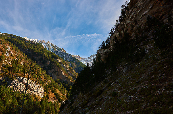 포토 JPG 해외이미지 여행 겨울 휴가 스키 휴식 산 풍경 사람없음 목재 농장 시골 소나무 정상 숲 언덕 만족 눈내림 해외포토 나무 계절 감정 컨셉 농업 재료 겨울스포츠 눈_날씨 파일형식 이미지허브
