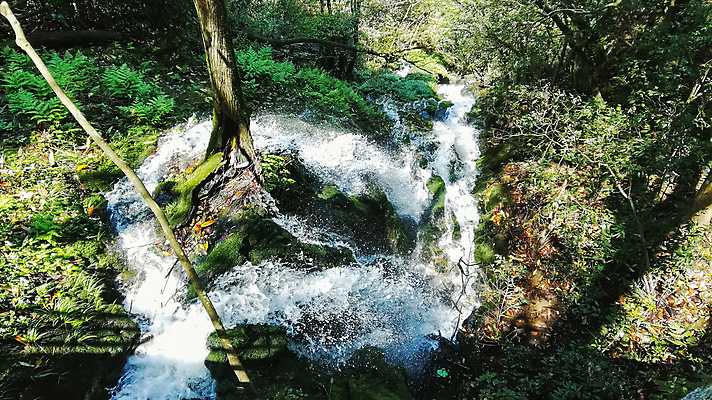 포토 JPG 해외이미지 식물 꽃 잎 꽃무늬 봄꽃 자연 사람없음 야외 빨간색 초록색 컬러풀 장미 보케 향 해외포토 컬러 무늬 봄 생태계 파일형식 이미지허브