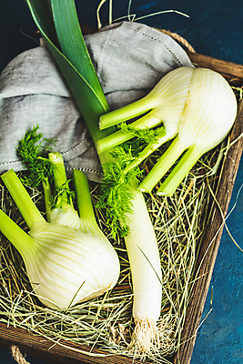 포토 JPG 해외이미지 식물 음식 백그라운드 잎 농업 다이어트 채소 재료 전구 자연 파슬리 건강 요리 사람없음 목재 초록색 샐러드 흰색 시골 신선 허브 향신료 유기농 날것 뿌리 향 부추 내추럴 숙성 채식주의자 회향 해외포토 나무 웰빙 산업 컬러 생태계 채식 향미료 파일형식 이미지허브