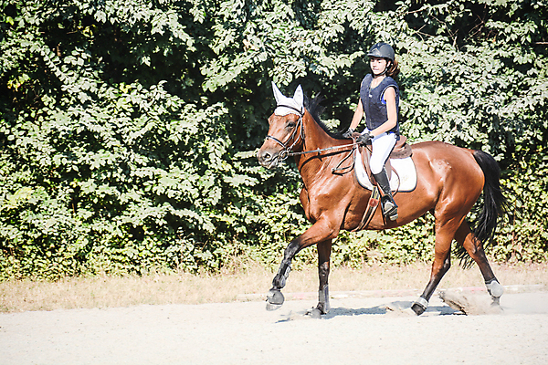 포토 JPG 해외이미지 선 성공 사람없음 승마 결과 결심 새장 라이더 해외포토 스포츠 컨셉 케이지 파일형식 이미지허브