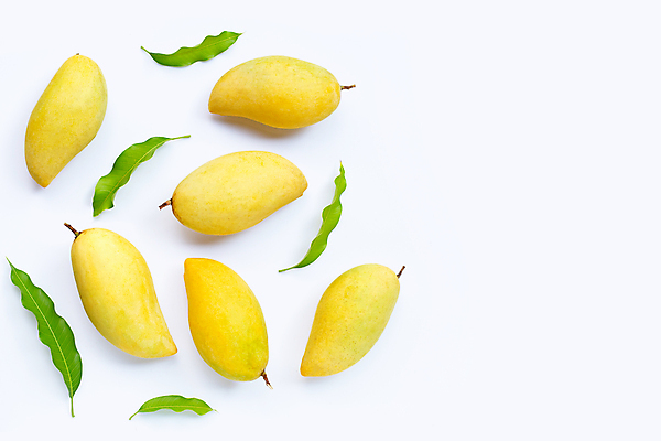 포토 JPG 해외이미지 잎 실내 사람없음 여러개 열대과일 흰배경 망고 카피스페이스 해외포토 식물 다수 백그라운드 과일 내부 공백 흰색 파일형식 이미지허브