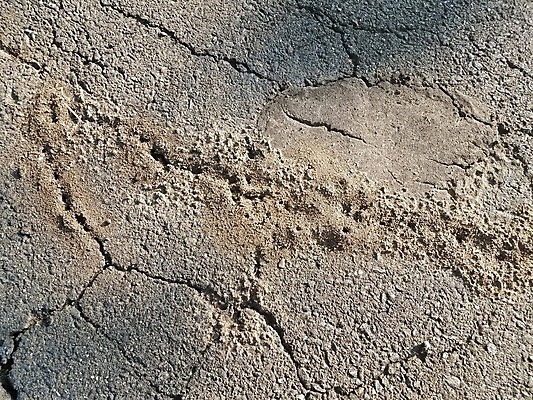 포토 JPG 해외이미지 동물 곤충 자연 사람없음 야외 검은색 차도 보행로 벌레 언덕 먼지 해외포토 도로 길 컬러 생태계 파일형식 이미지허브