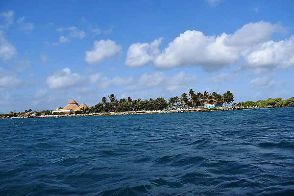 포토 JPG 해외이미지 나무 모래 바다 섬 여행 자연 하늘 휴가 손바닥 풍경 사람없음 야외 물 여름 파란색 야자수 맑음 흰색 휴양지 코코넛 카리브해 이국적 파라다이스 수평선 해외포토 자연요소 식물 손 계절 컬러 과일 날씨 장소 생태계 파일형식 이미지허브