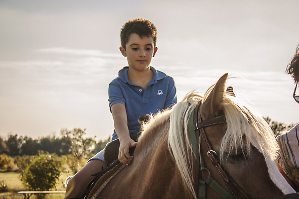 포토 JPG 해외이미지 동물 백인 라이프스타일 여자 남자 행복 어린이 스포츠 포즈 운동화 2 자연 함께함 소년 사람없음 야외 농장 머리 봄 승마 승차 작음 조랑말 언니 라이더 방법 헬프 해외포토 서양인 계절 감정 신발 컨셉 농업 가족 모션 사람 생활 신체부위 말_동물 도움 크기 생태계 자매 파일형식 이미지허브