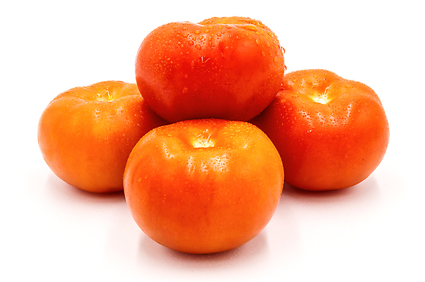 포토 JPG 해외이미지 음식 줄기 백그라운드 잎 다이어트 토마토 채소 재료 건강 그림자 요리 사람없음 빨간색 빛 농작물 흰색 물방울 신선 점 원형 4 그룹 다발 먹기 가득함 묘사 서식 각도 슛 포도나무 내추럴 고립 바이오 카피스페이스 해외포토 도형 식물 컬러 농업 모션 숫자 공백 과일나무 파일형식 이미지허브