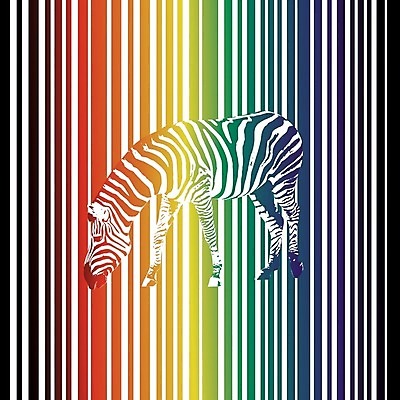 EPS 해외이미지 동물 선 백그라운드 무지개 패턴 일러스트 비즈니스 아프리카 자연 벽지 추상 동물원 빨간색 파란색 컬러풀 디지털 검은색 줄무늬 흰색 암호 인쇄 피부 질감 얼룩말 공상 사생활 해외일러스트 자연요소 나라 컬러 무늬 신체부위 말_동물 생태계 파일형식 벡터 이미지허브