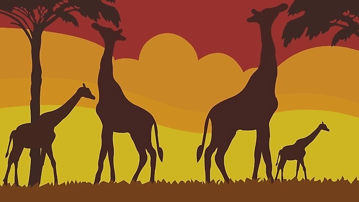 EPS 해외이미지 나무 디자인 실루엣 야생동물 새끼 일러스트 사람없음 일출 기린 해외일러스트 식물 동물 포유류 촬영기법 노을 파일형식 벡터 이미지허브