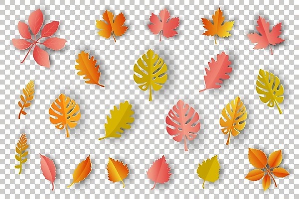 EPS 해외이미지 나무 식물 템플릿 디자인 배너 계절 백그라운드 단풍 잎 꽃무늬 오렌지 일러스트 자연 추상 그래픽 장식 빨간색 세트 컬러풀 노란색 정원 가을 흰색 투명 숲 9월 수집 오브젝트 질감 10월 고립 엘리먼트 해외일러스트 꽃 컬러 무늬 과일 날짜 생태계 파일형식 벡터 이미지허브