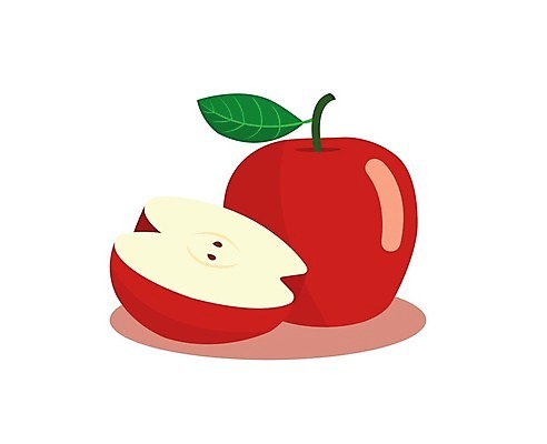 EPS 해외이미지 모양 식물 계절 음식 조각 잎 다이어트 과일 일러스트 자연 건강 미술 씨앗 경사 빨간색 초록색 세트 가을 흰색 신선 투명 달콤 맛 사과 자르기 심볼 오브젝트 사인 유기농 슬라이스 내추럴 고립 숙성 채식주의자 현실 해외일러스트 웰빙 컬러 컨셉 모션 문화예술 생태계 채식 파일형식 벡터 이미지허브