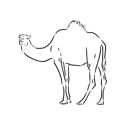 EPS 해외이미지 동물 디자인 야생동물 선 모래 여행 백그라운드 일러스트 포유류 교통시설 아프리카 자연 동물원 이집트 미술 그래픽 검은색 가축 사막 수확 흰색 승차 만화 스케치 사파리 사인 그림 복고 낙타 손그림 아라비아 판화 혹 사하라 고립 단봉낙타 아랍어 해외일러스트 나라 컬러 교통 농업 모션 문화예술 시설 생태계 파일형식 벡터 이미지허브